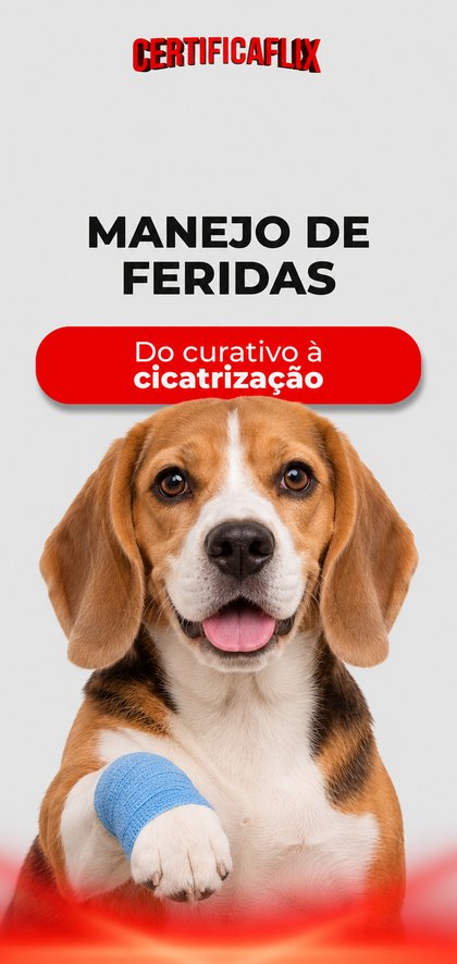 Manejo de Feridas