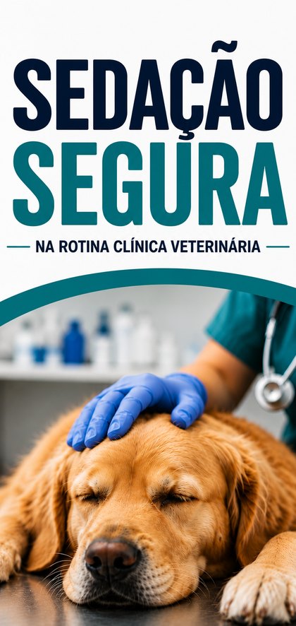 Sedação Segura